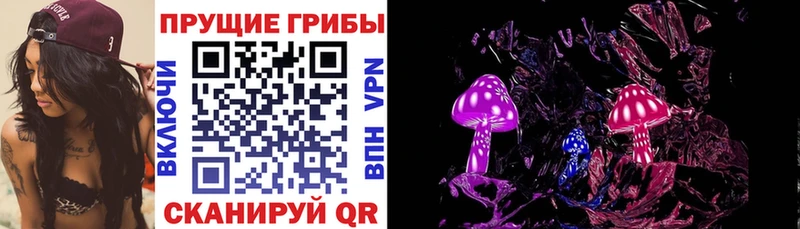 Купить Короча Галлюциногенные грибы Psilocybine cubensis